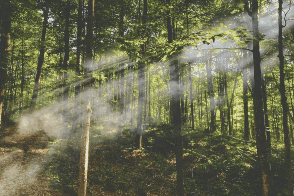 How to not let external chaos destroy your inner calm