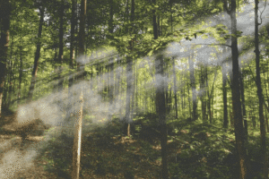 How to not let external chaos destroy your inner calm